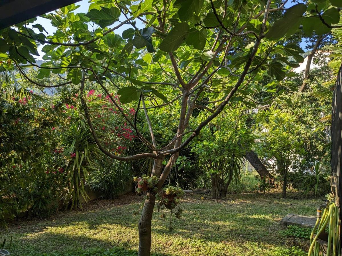 La Casa Di Lidia Bed and Breakfast Cardile Εξωτερικό φωτογραφία