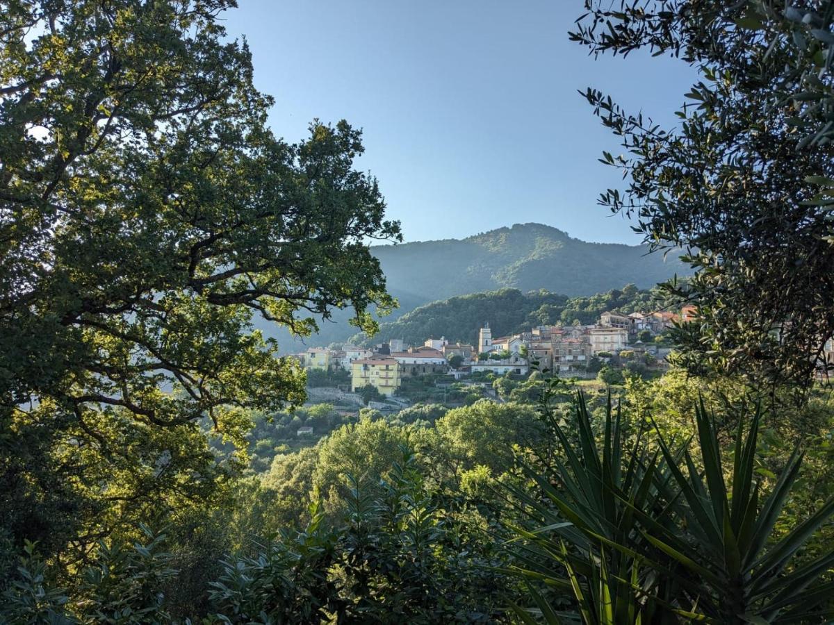 La Casa Di Lidia Bed and Breakfast Cardile Εξωτερικό φωτογραφία