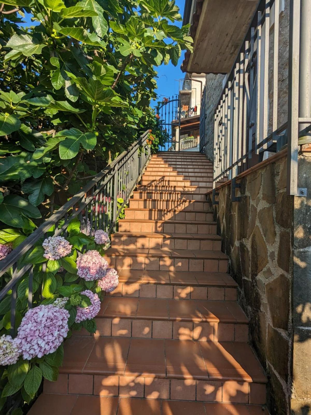 La Casa Di Lidia Bed and Breakfast Cardile Εξωτερικό φωτογραφία