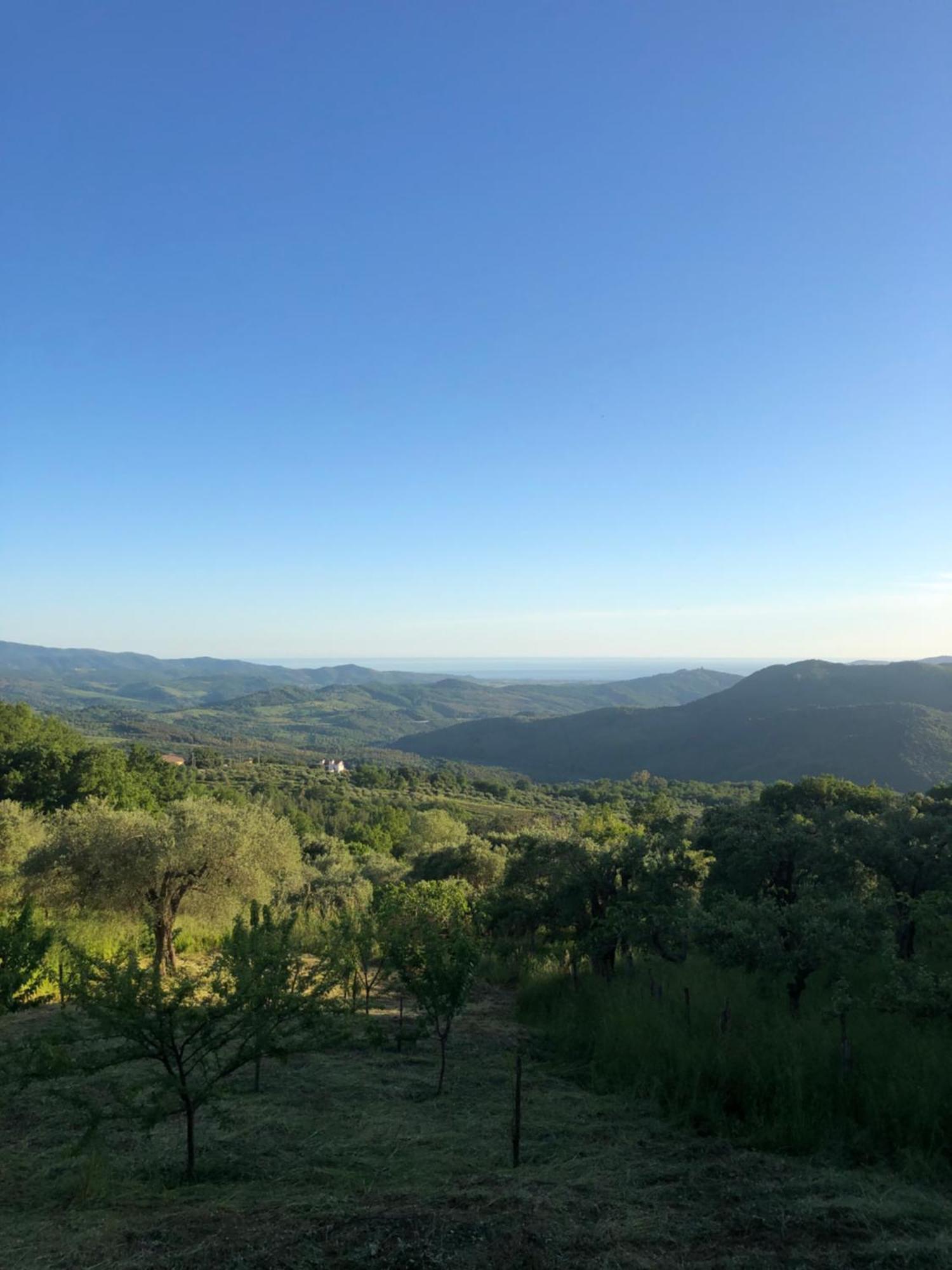 La Casa Di Lidia Bed and Breakfast Cardile Εξωτερικό φωτογραφία