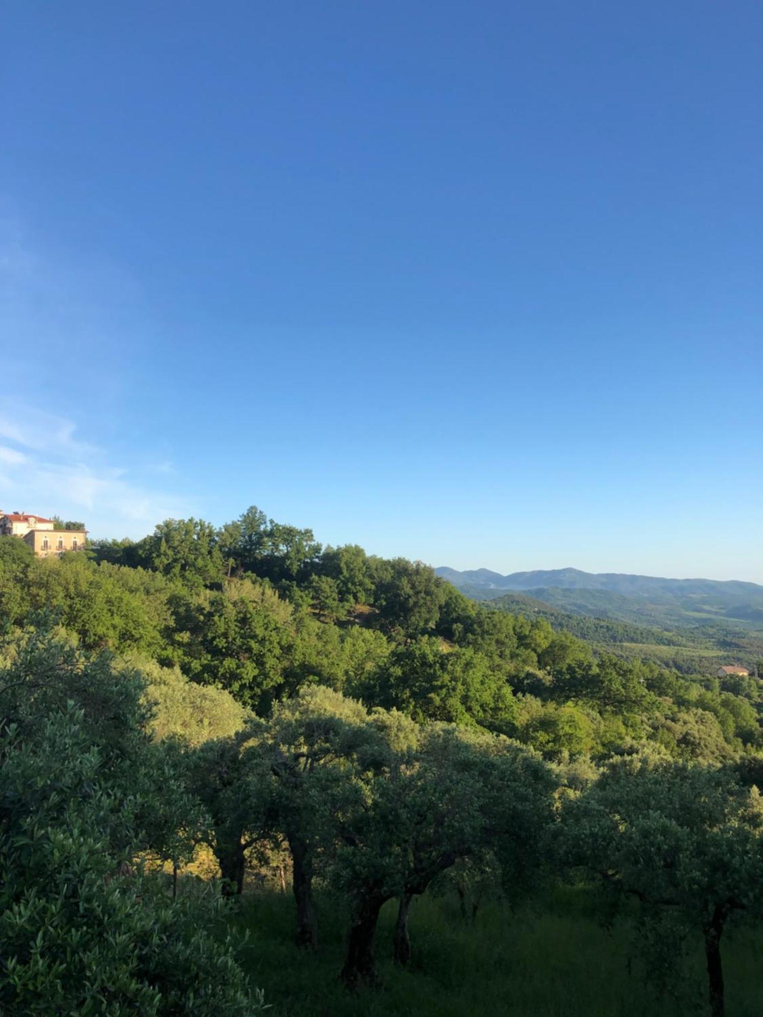 La Casa Di Lidia Bed and Breakfast Cardile Εξωτερικό φωτογραφία